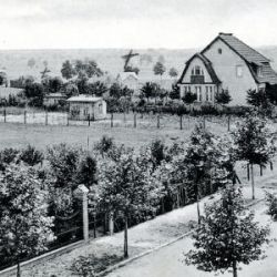 Bild009